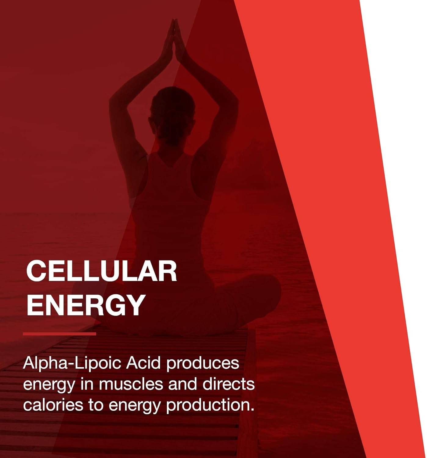 Protocol Alpha Lipoic Acid 600mg with Grape Seed Extract and Bioperine - 60 Vegetarian Capsules
