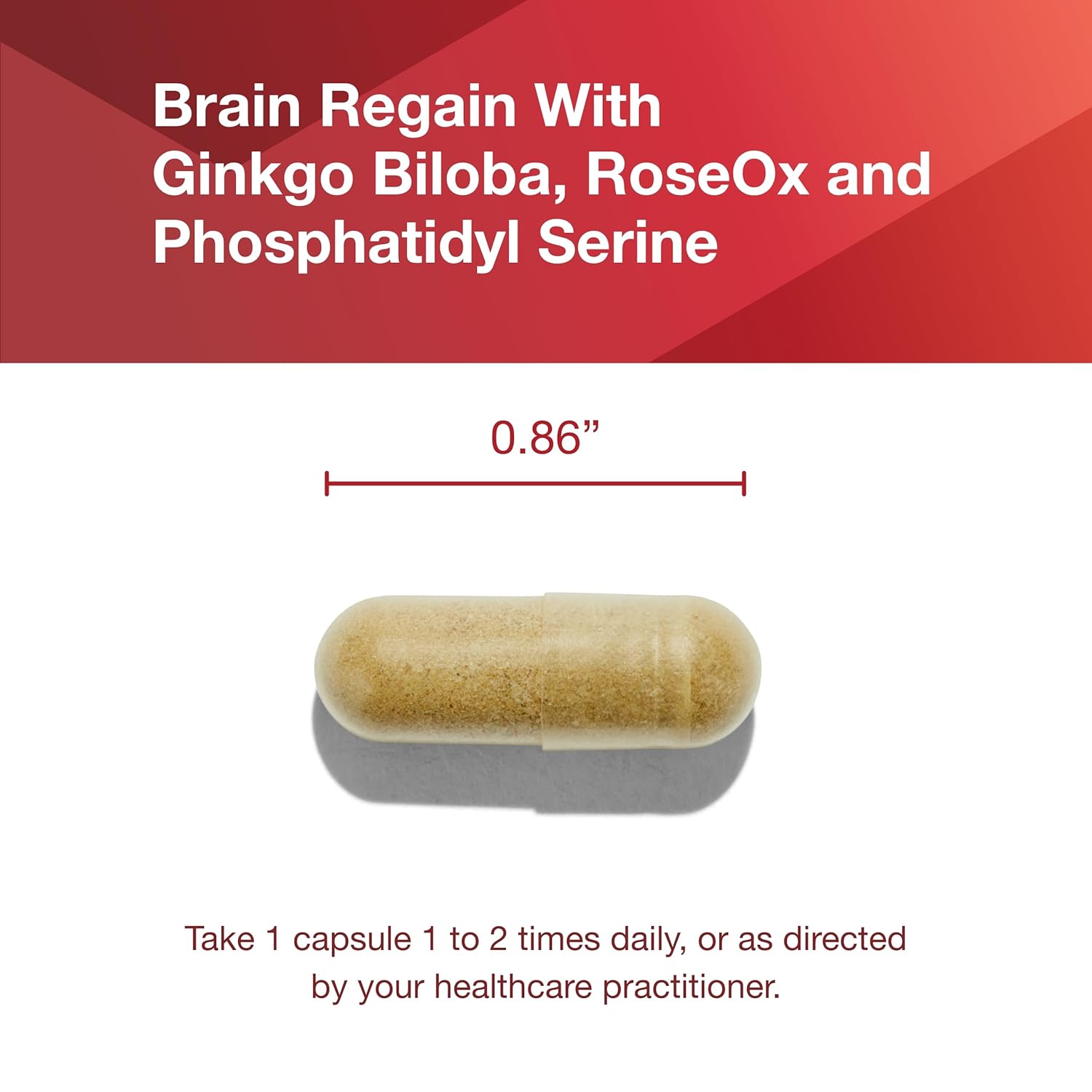 Protocol Brain Regain Supplement - Supports Brain Health and Vascular Health - 90 Veg Capsules