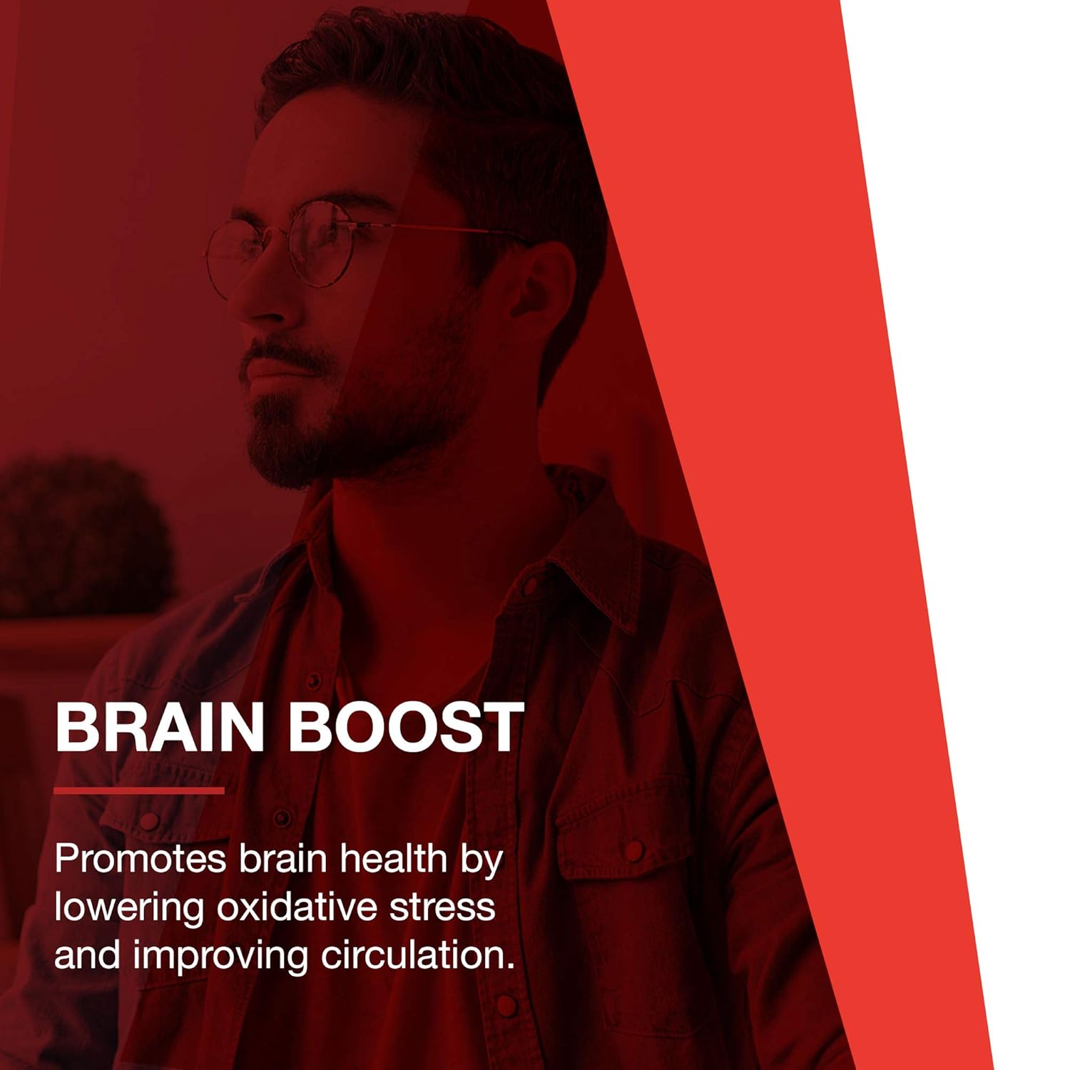 Protocol Brain Regain Supplement - Supports Brain Health and Vascular Health - 90 Veg Capsules