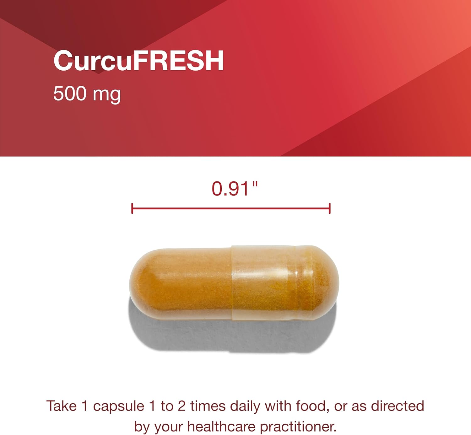 Protocol CurcuFRESH Turmeric Juice Powder Capsules - 40x Absorption - Curcuminoids from Curcuma Longa - Vegan & Non-GMO - 60 Capsules