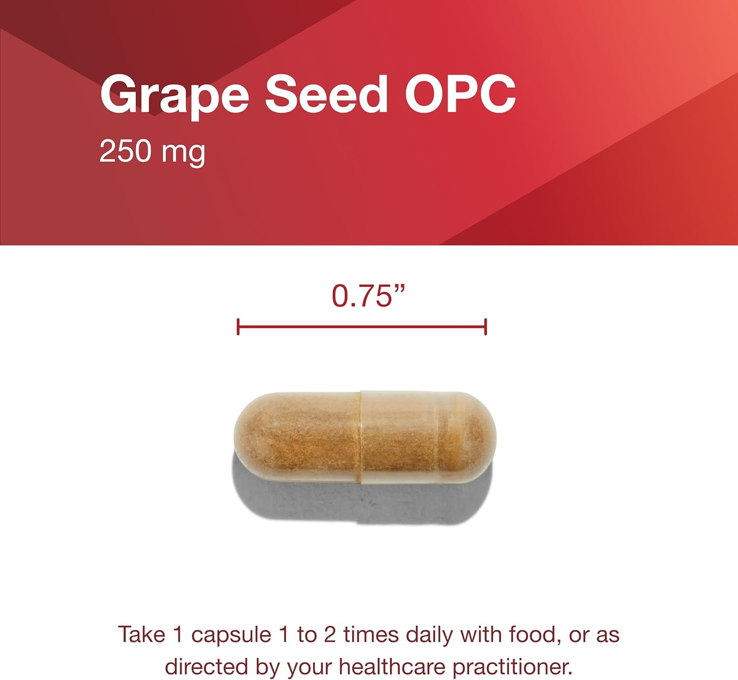 Protocol Grape Seed OPC Capsules - 250mg, 90% Polyphenols, with Rutin & Amla Fruit Extract - Non-GMO & Kosher - 90 Veg Capsules