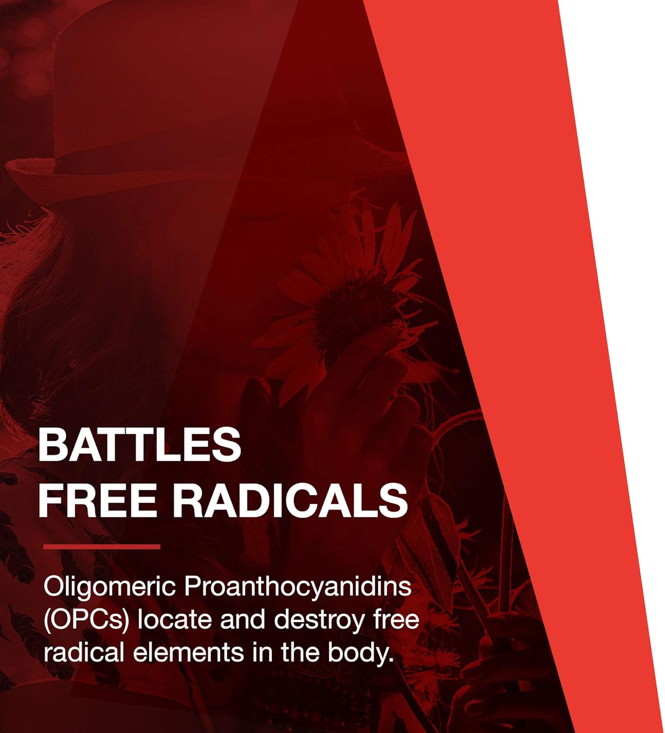 Protocol Grape Seed OPC Capsules - 250mg, 90% Polyphenols, with Rutin & Amla Fruit Extract - Non-GMO & Kosher - 90 Veg Capsules
