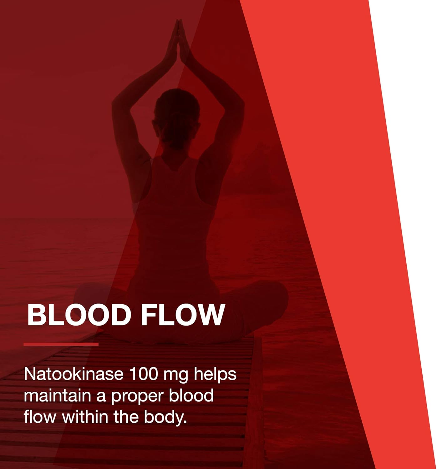 Protocol Nattokinase Supplement 100mg - Heart Health & Blood Circulation - Kosher & Dairy Free - 60 Veg Capsules