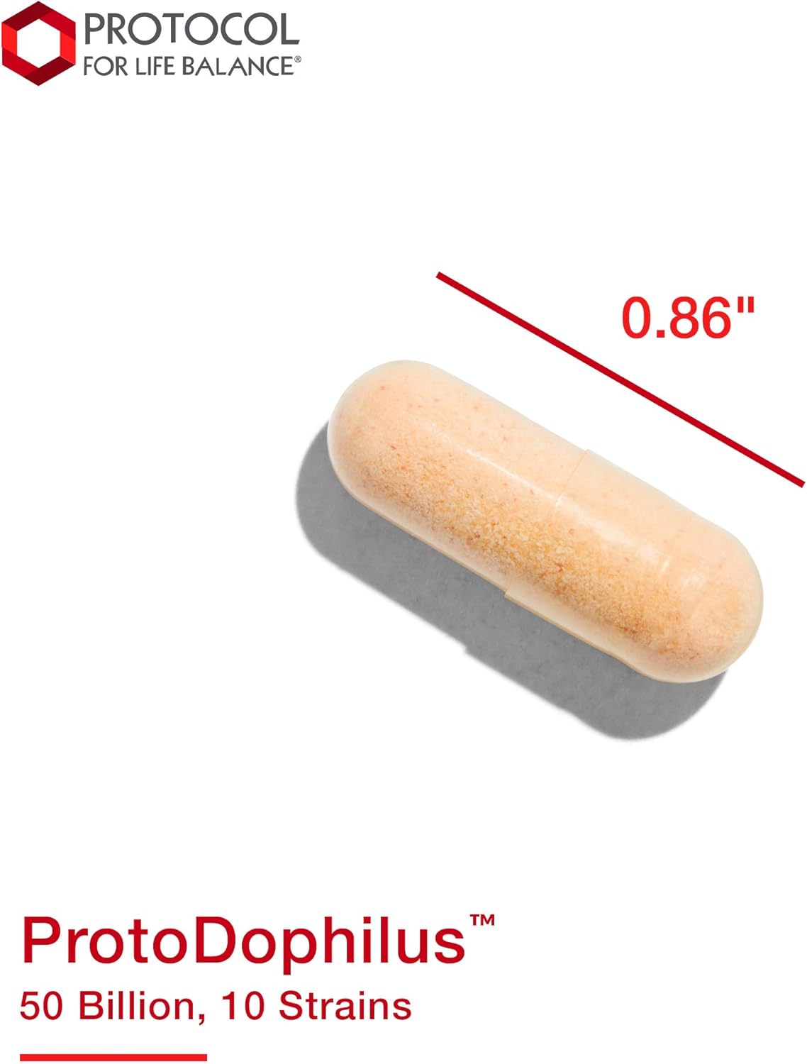 ProtoDophilus - 50 Billion CFU Probiotic Supplement for Digestive and Immune Health - 10 Strains, 50 Veg Capsules