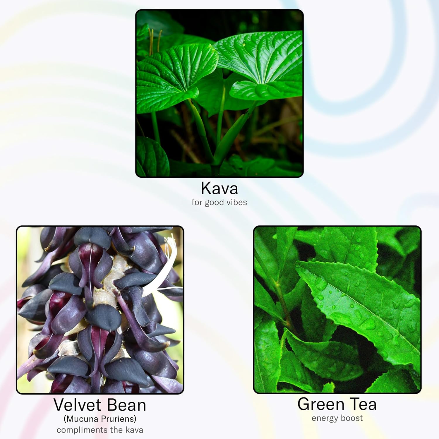 Psychedelic Water Mixed Pack: Mood-Enhancing Relaxation Drink with Calming Kava and Mucuna Pruriens - Gluten-Free, Low Calorie, Non-Alcoholic Adaptogen Mocktails - 8 Cans