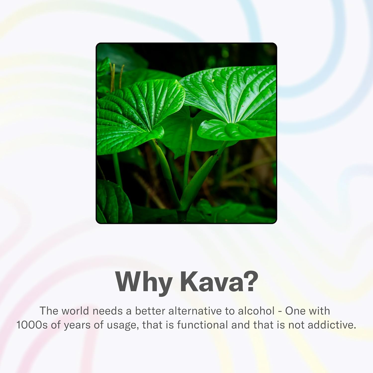 Psychedelic Water Mixed Pack: Mood-Enhancing Relaxation Drink with Calming Kava and Mucuna Pruriens - Gluten-Free, Low Calorie, Non-Alcoholic Adaptogen Mocktails - 8 Cans