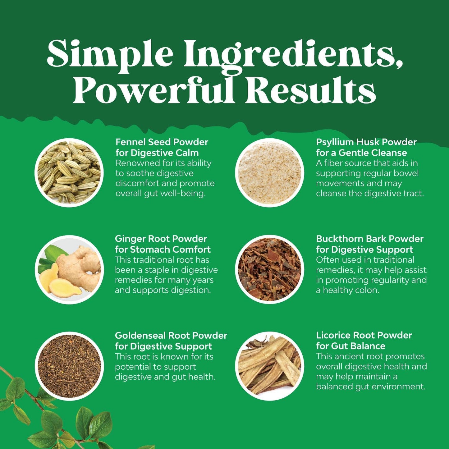 Psyllium Husk Capsules with Lactobacillus Acidophilus for Colon Cleanse & Detox - Gut Health Probiotic Supplement by Natures Craft