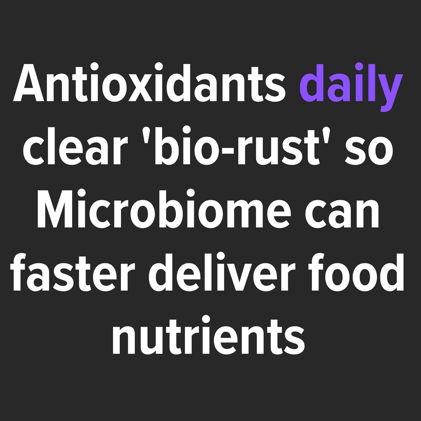 Pumpkin Pie Culinary Antioxidants: Microbiome-Friendly Liquid Fermented Botanicals by Leckar