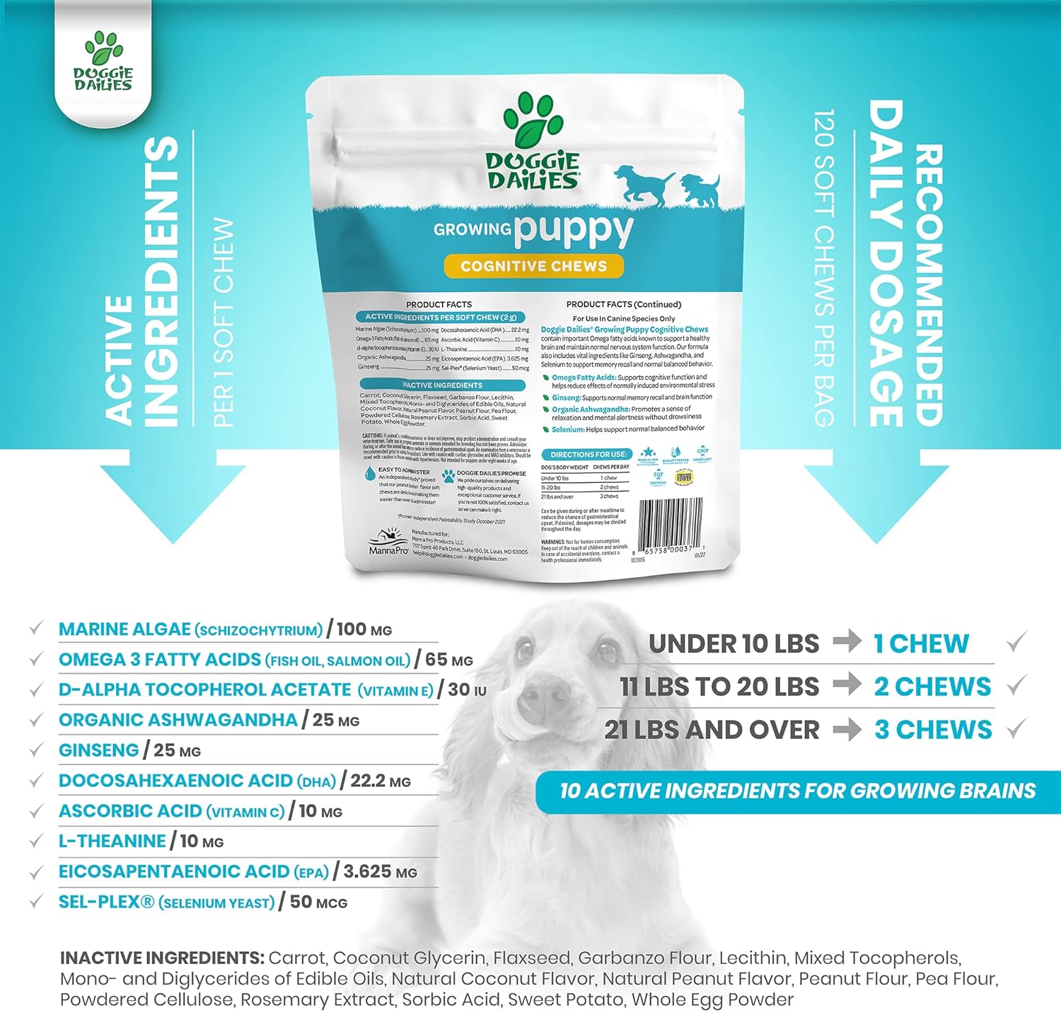 Puppy Cognitive Health Soft Chews with DHA, Organic Ashwagandha, Antioxidants - 120 Count