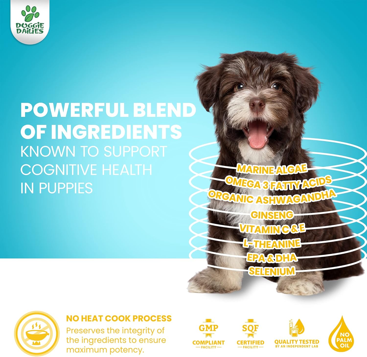 Puppy Cognitive Health Soft Chews with DHA, Organic Ashwagandha, Antioxidants - 120 Count