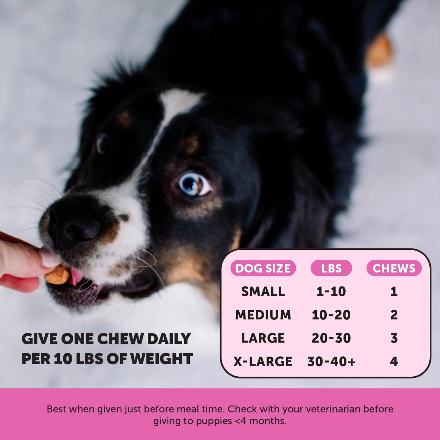 Puppy Treats with Essential Dog Supplements for Learning and Cognitive Development - Probiotics, Omega Fish Oil, Immune Support