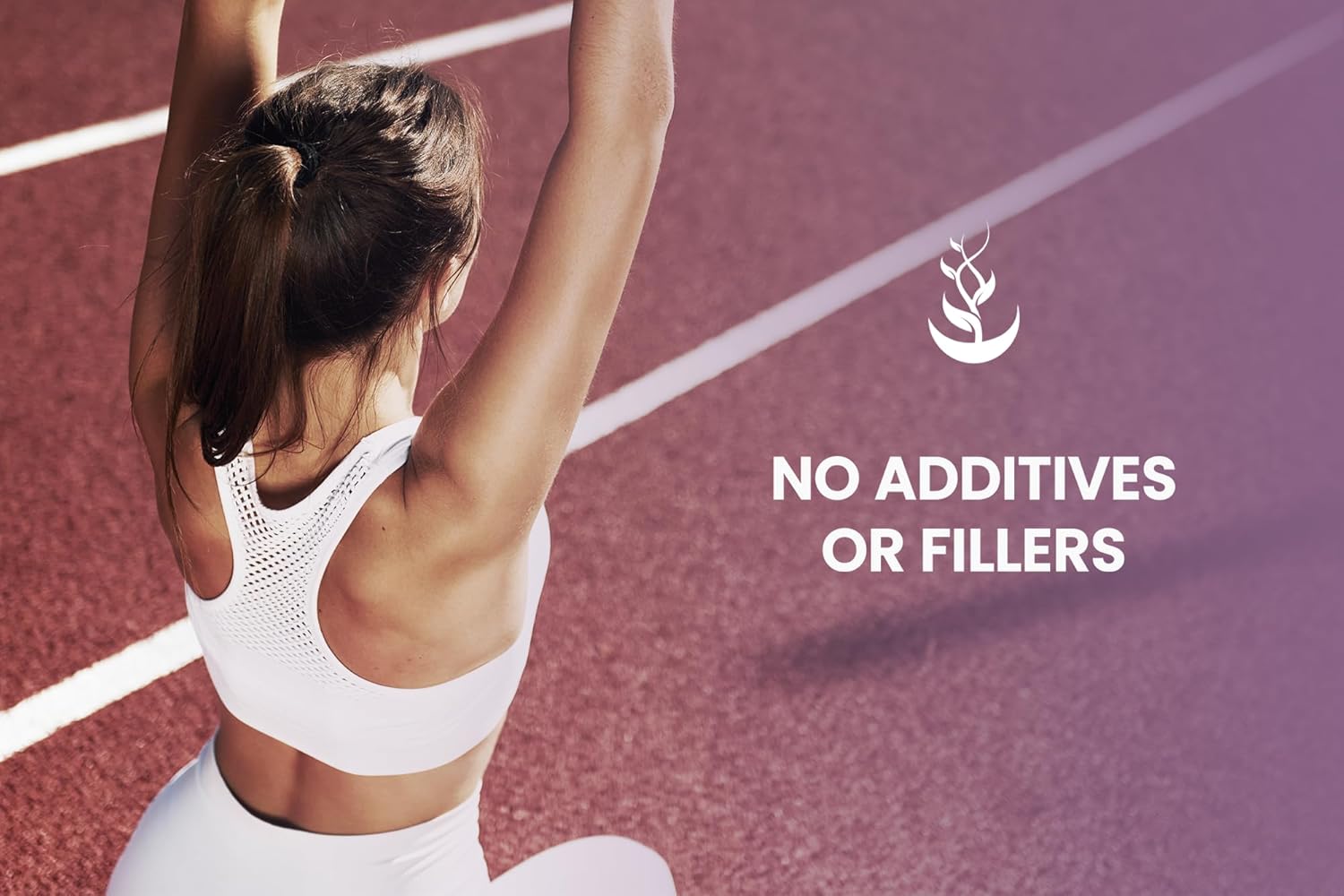 Pure Black Cohosh 730 Capsules - Original Ingredients, No Magnesium or Rice Fillers - Lab Verified & Pure