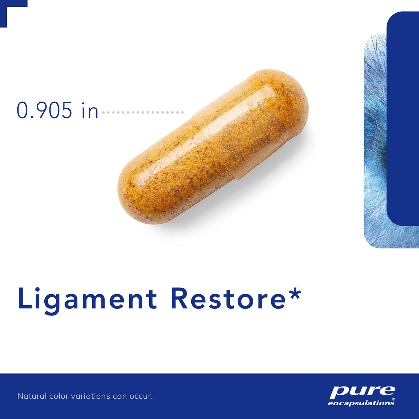 Pure Encapsulations Ligament Restore Dietary Supplement 120 Capsules - Supports Healthy Joints, Tendons, Ligaments