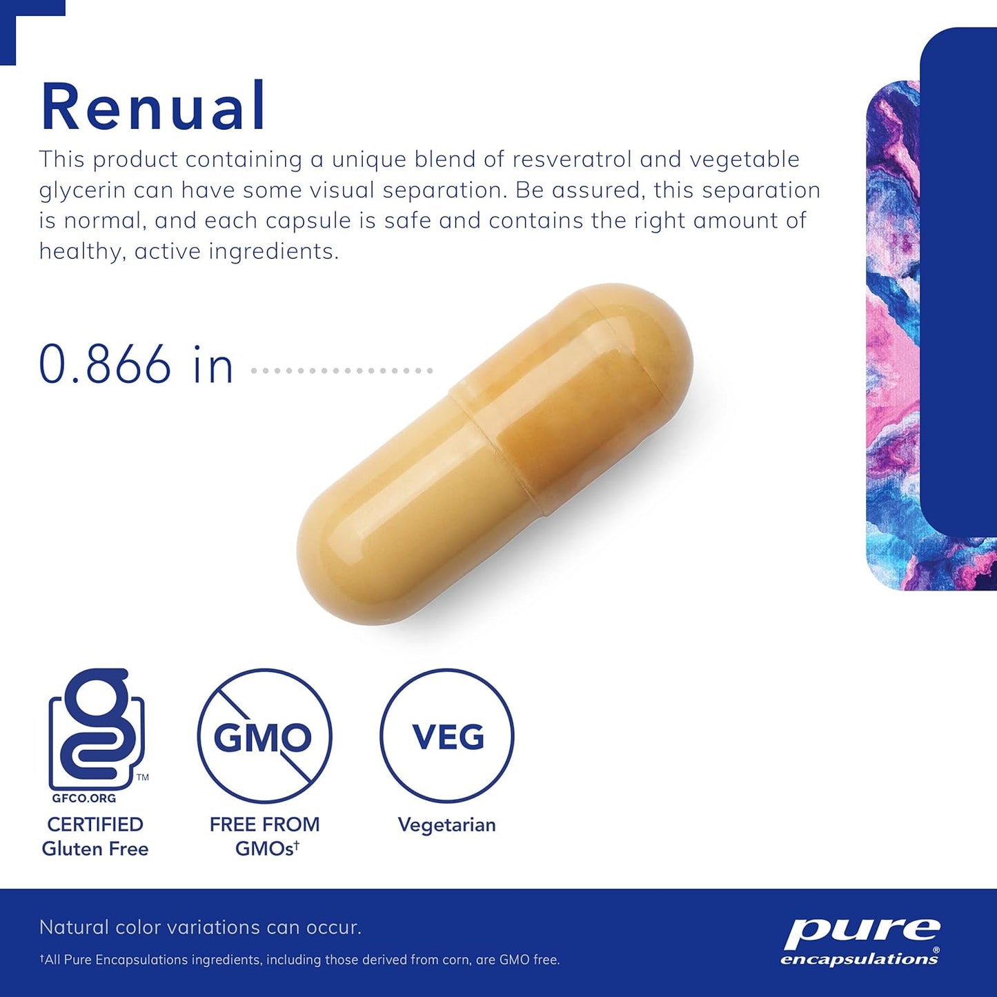 Pure Encapsulations Urolithin A Supplement for Muscle Function and Cellular Energy | 60 Caplique Capsules