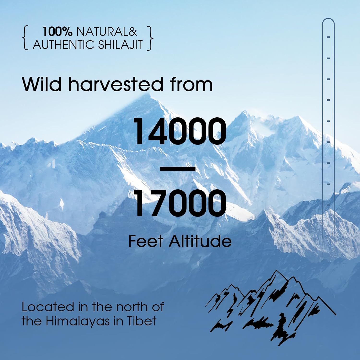 Pure Golden Grade Himalayan Shilajit Resin - Natural Energy Boost & Immune Support | 85+ Trace Minerals | Lab Tested | 20g, 100 Servings