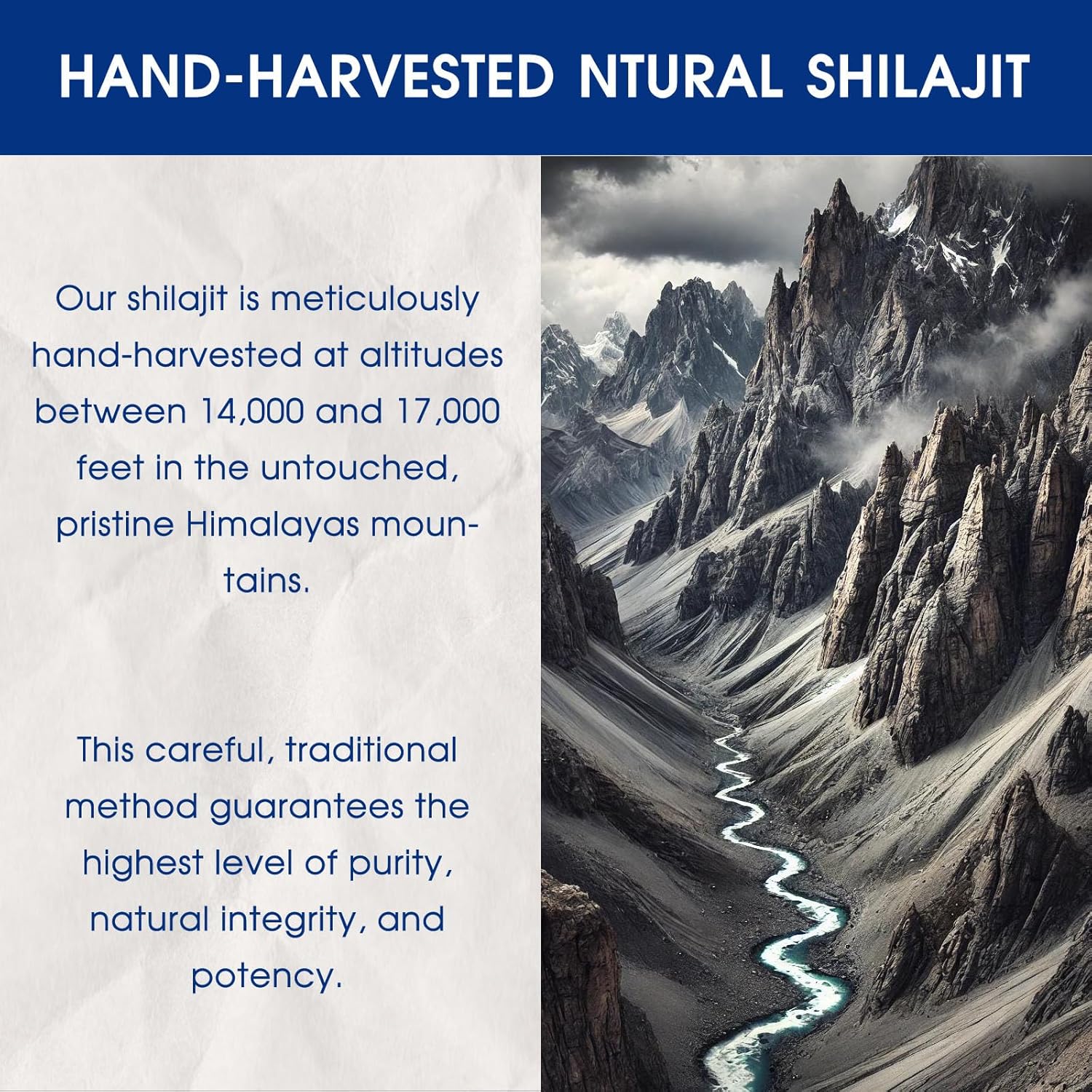 Pure Golden Grade Himalayan Shilajit Resin - Natural Energy Boost & Immune Support | 85+ Trace Minerals | Lab Tested | 20g, 100 Servings