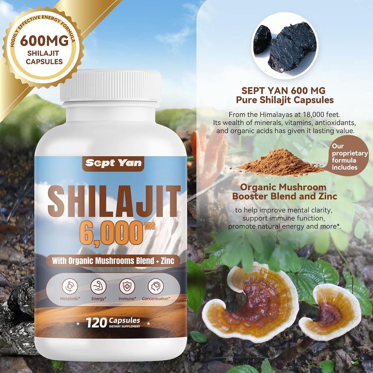 Pure Himalayan Organic Shilajit Capsules with Mushrooms Blend and Zinc - 2 Month Supply for Strength, Stamina, Brain & Immune Health - 120 Count Vegan Supplement for Women & Men