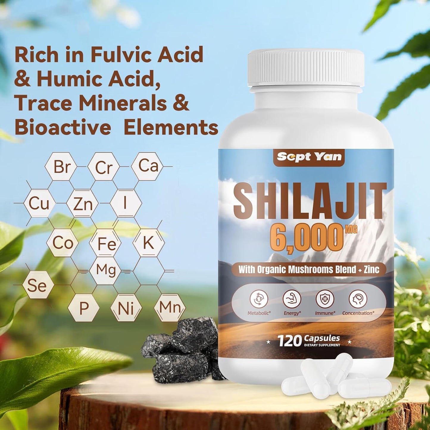 Pure Himalayan Organic Shilajit Capsules with Mushrooms Blend and Zinc - 2 Month Supply for Strength, Stamina, Brain & Immune Health - 120 Count Vegan Supplement for Women & Men