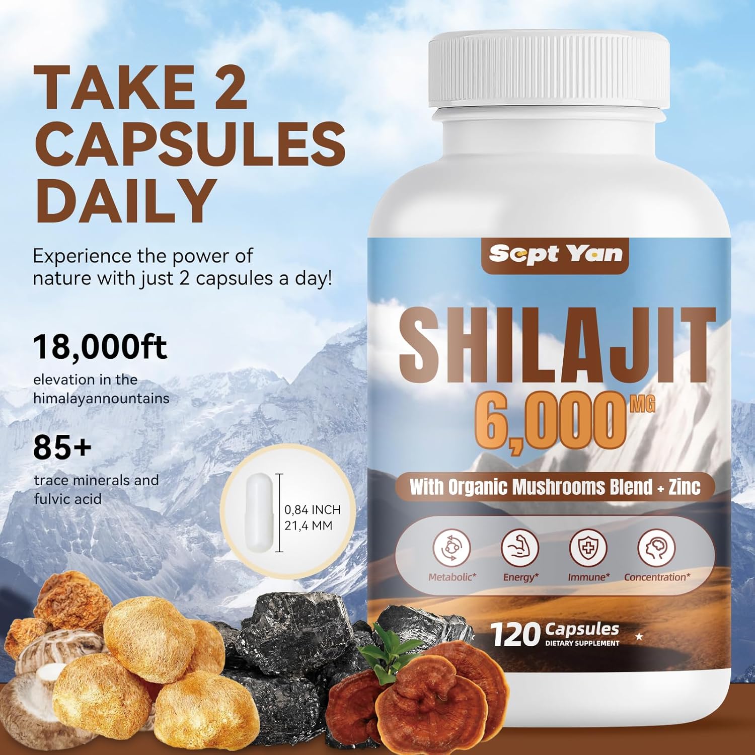 Pure Himalayan Organic Shilajit Capsules with Mushrooms Blend and Zinc - 2 Month Supply for Strength, Stamina, Brain & Immune Health - 120 Count Vegan Supplement for Women & Men