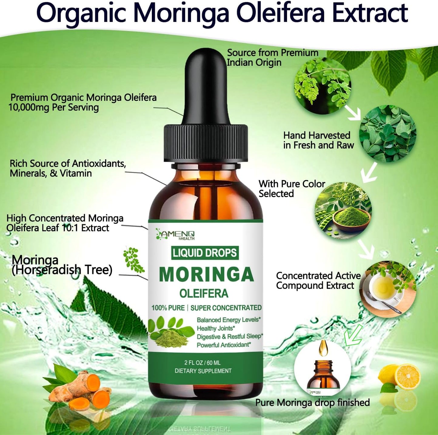 Pure Moringa Oleifera Liquid Drops with Turmeric and Black Pepper for Energy and Immune Support