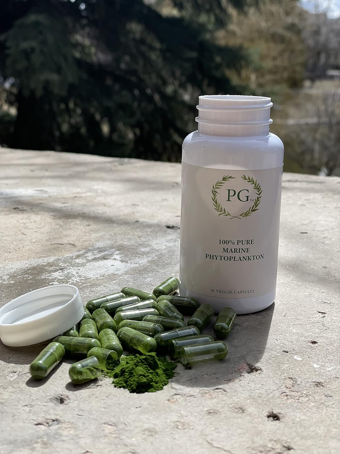 Pure Organic Marine Phytoplankton Powder - High Yield SOD Enzyme - Contaminant-Free Superfood - 15g