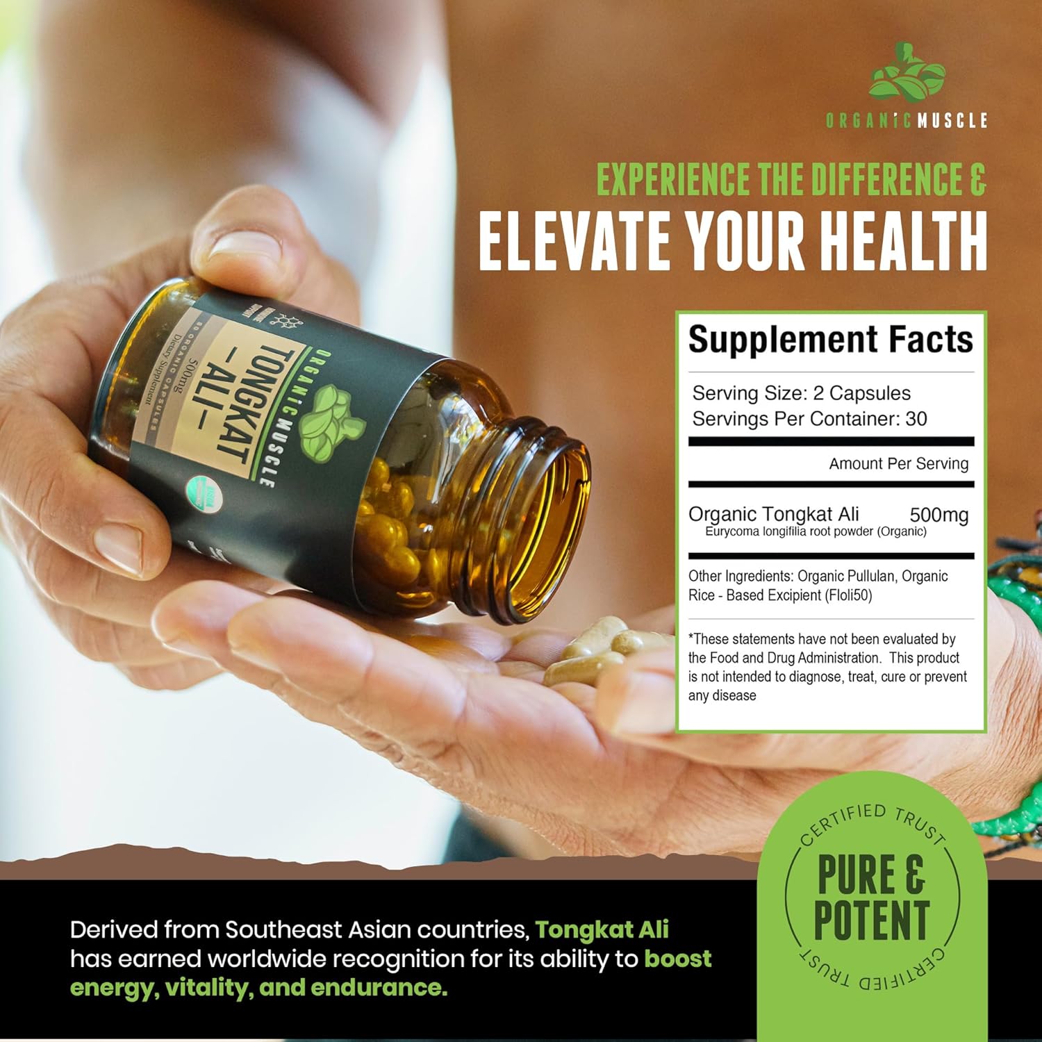 Pure Organic Tongkat Ali Root Supplement for Men - 500mg USDA Eurycoma Longifolia - Natural Male Performance & Hormone Support - 60 Count