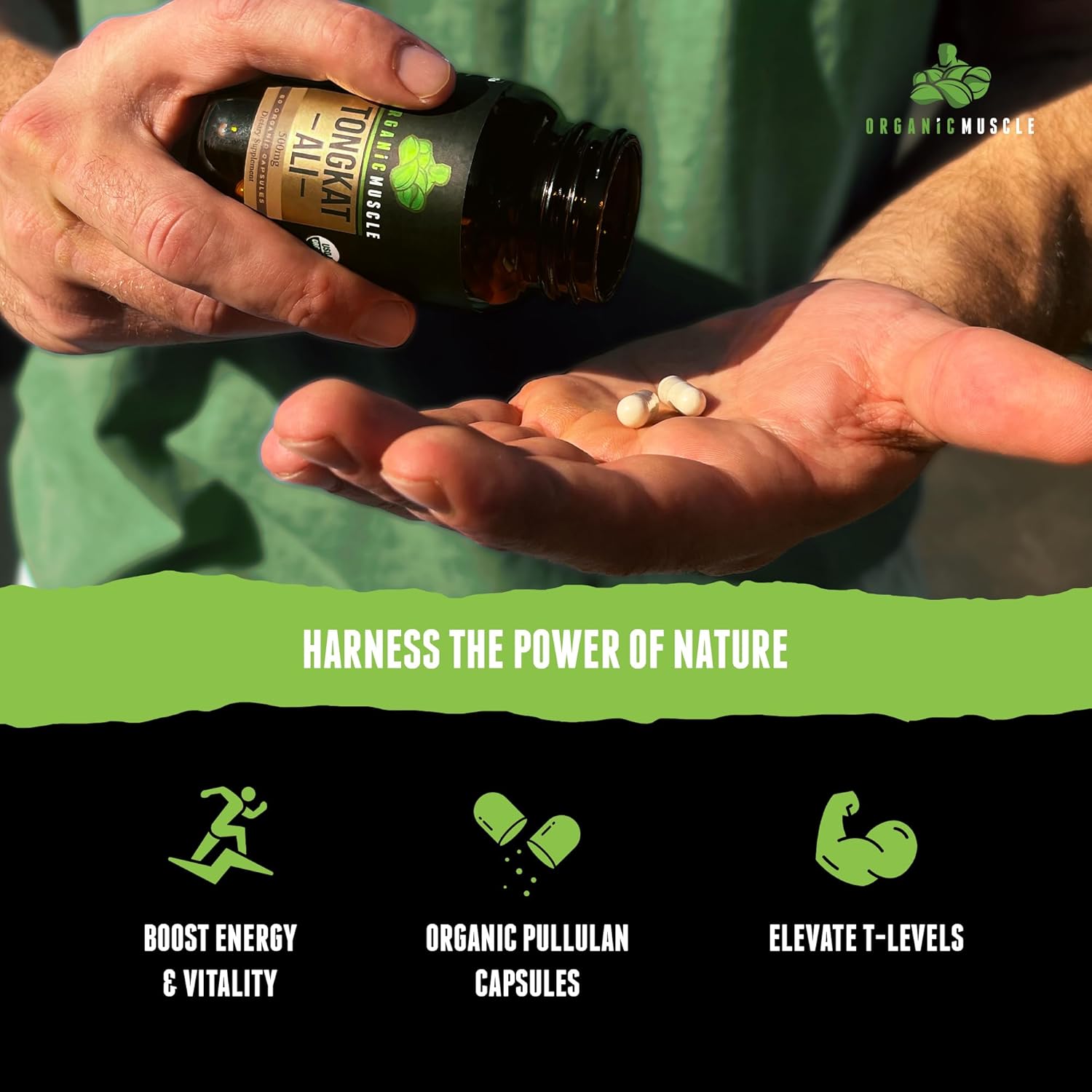 Pure Organic Tongkat Ali Root Supplement for Men - 500mg USDA Eurycoma Longifolia - Natural Male Performance & Hormone Support - 60 Count