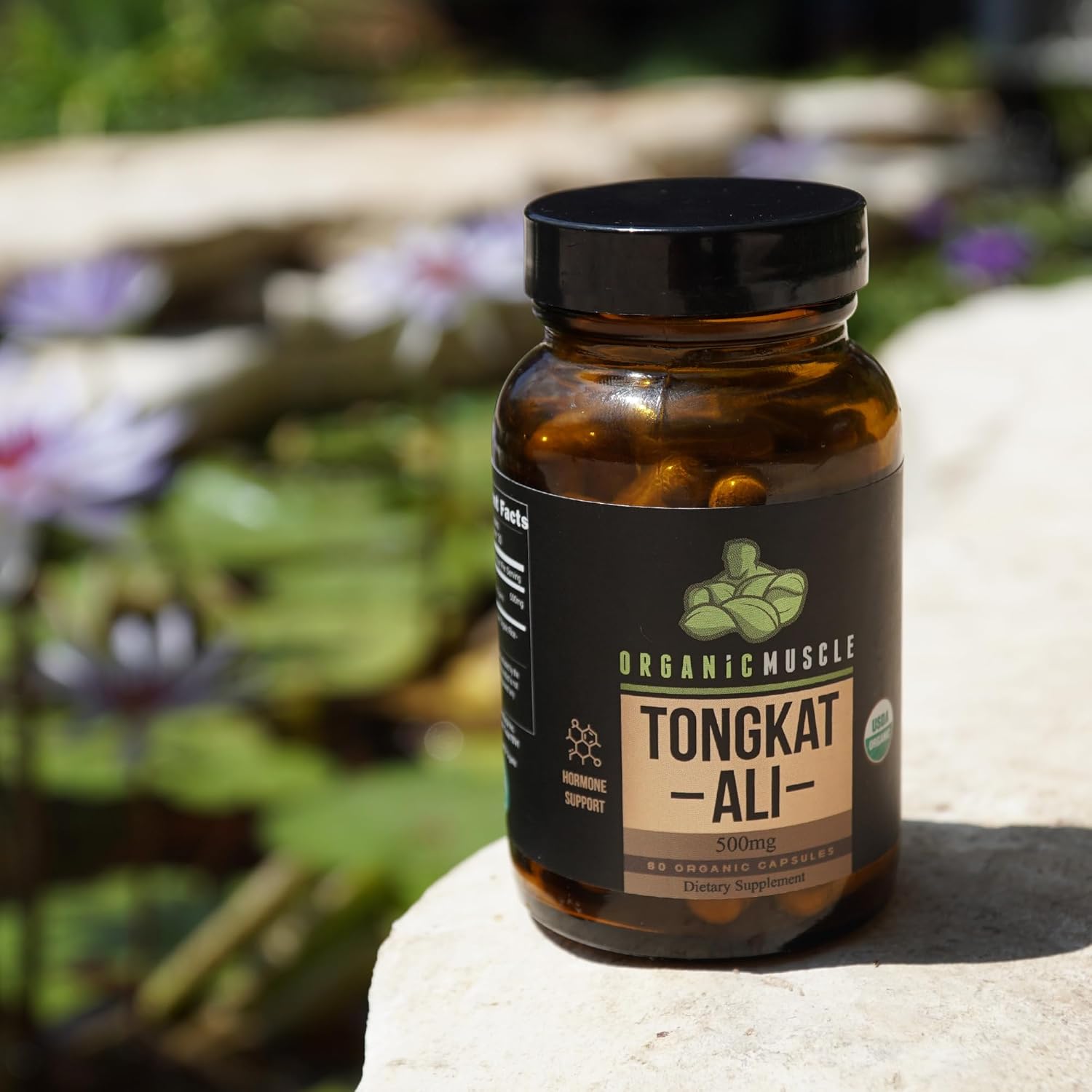 Pure Organic Tongkat Ali Root Supplement for Men - 500mg USDA Eurycoma Longifolia - Natural Male Performance & Hormone Support - 60 Count