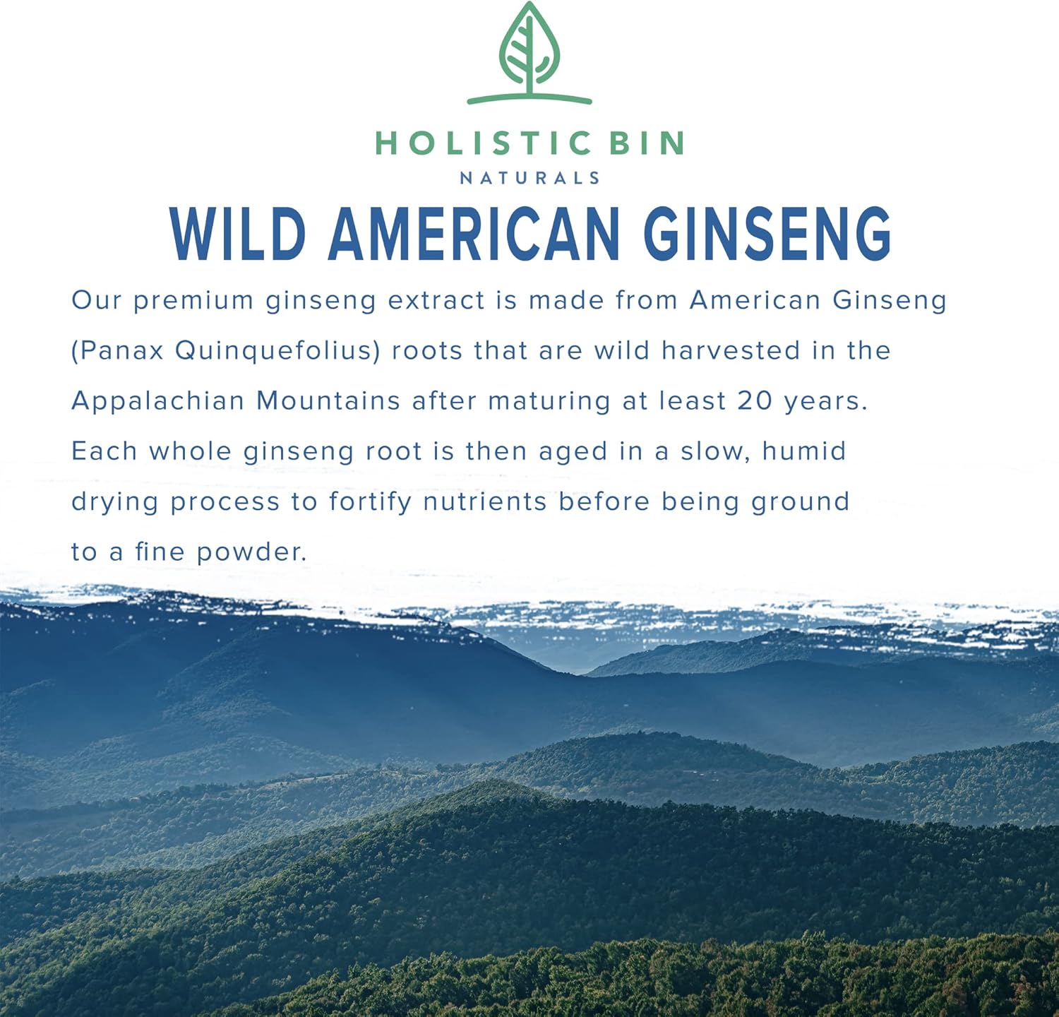 Pure Organic Wild American Ginseng Powder Supplement - 20+ Year Old Roots from Appalachia - No Fillers (25g)