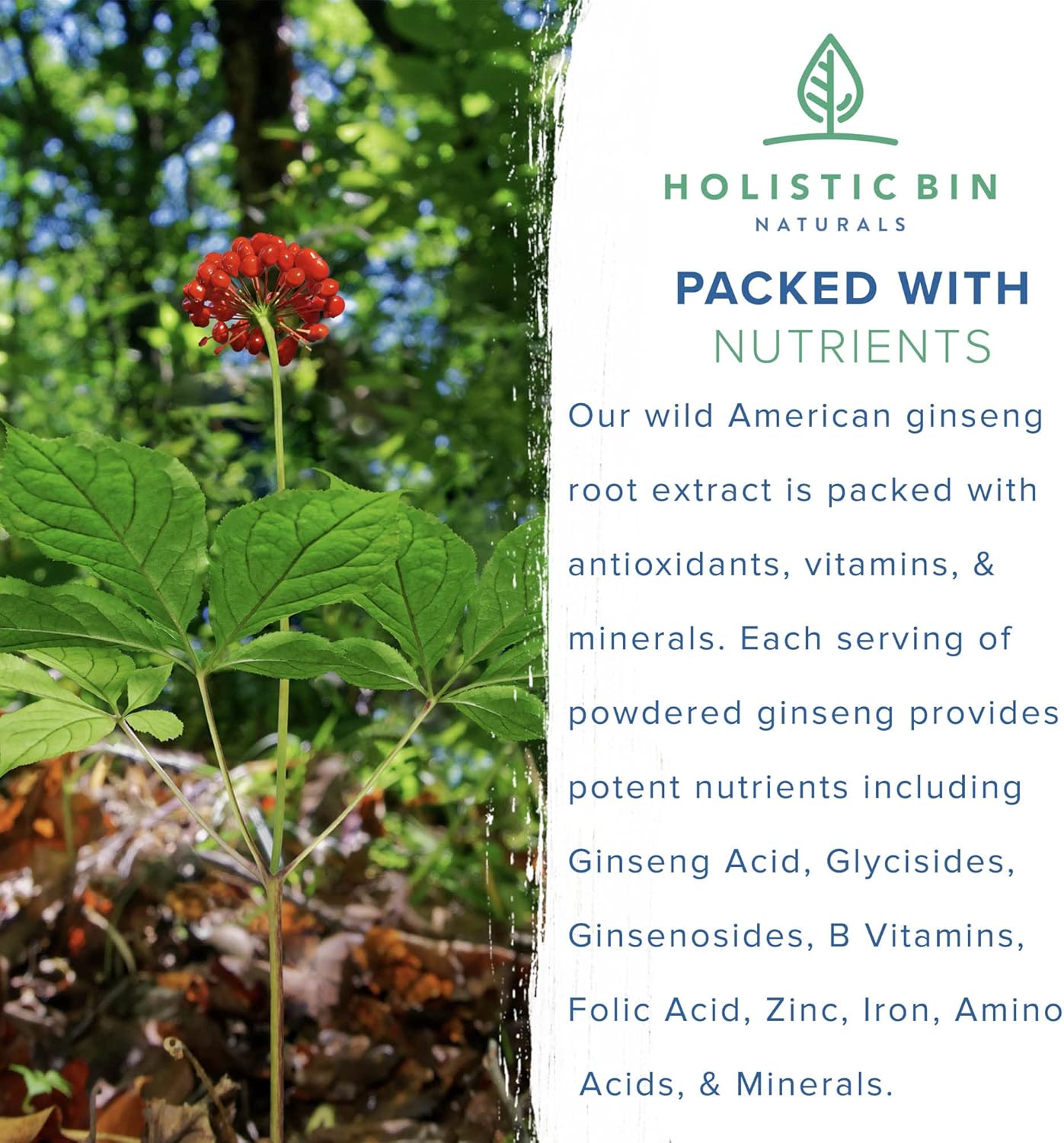 Pure Organic Wild American Ginseng Powder Supplement - 20+ Year Old Roots from Appalachia - No Fillers (25g)