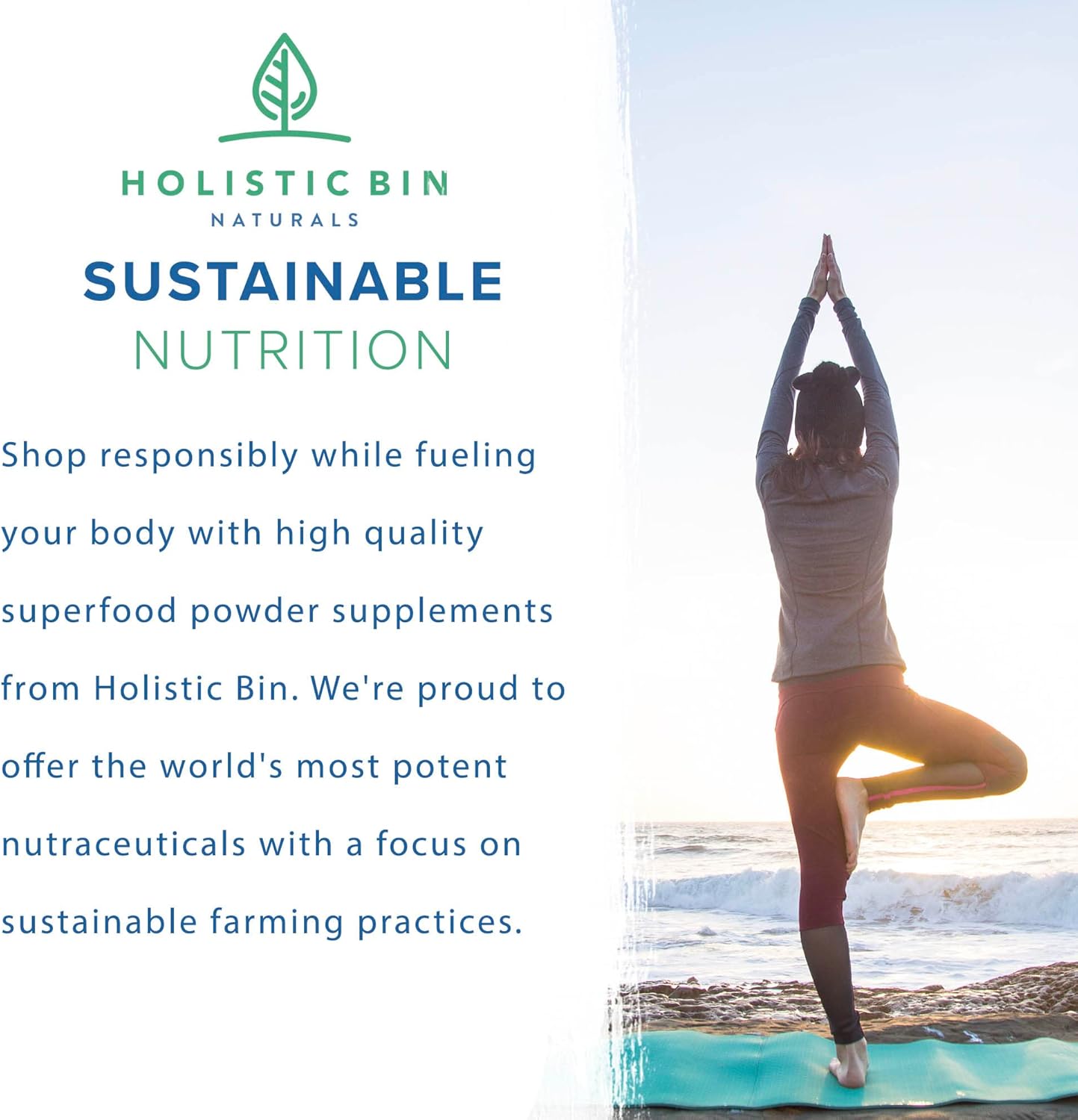 Pure Organic Wild American Ginseng Powder Supplement - 20+ Year Old Roots from Appalachia - No Fillers (25g)