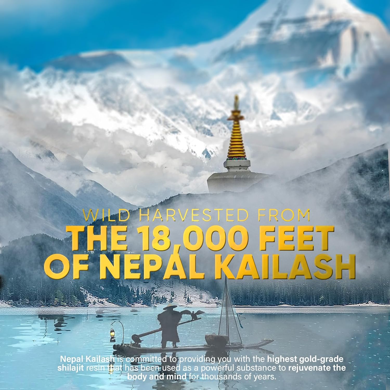 Pure Shilajit Resin Liquid Drops with 85+ Trace Minerals - Boost Brain Function, Energy, and Immune System - 2oz Bottle (60 Days)