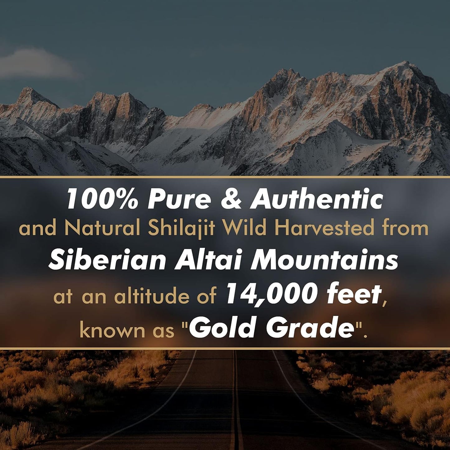 Pure Siberian Shilajit Resin Supplement with Fulvic Acid & Trace Minerals - Boost Metabolism & Immune System - 100 Servings / 50g