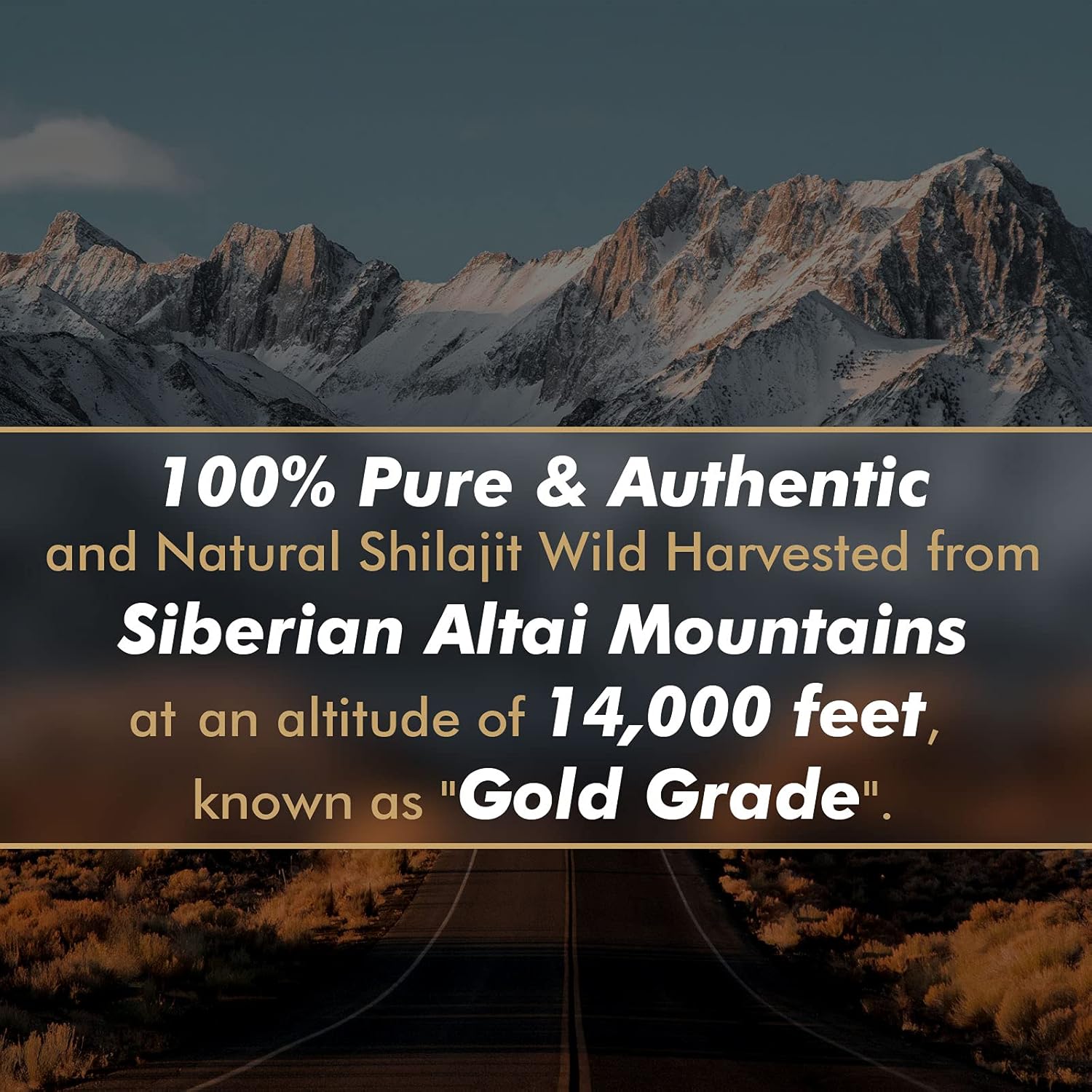 Pure Siberian Shilajit Resin Supplement with Fulvic Acid & Trace Minerals - Boost Metabolism & Immune System - 100 Servings / 50g