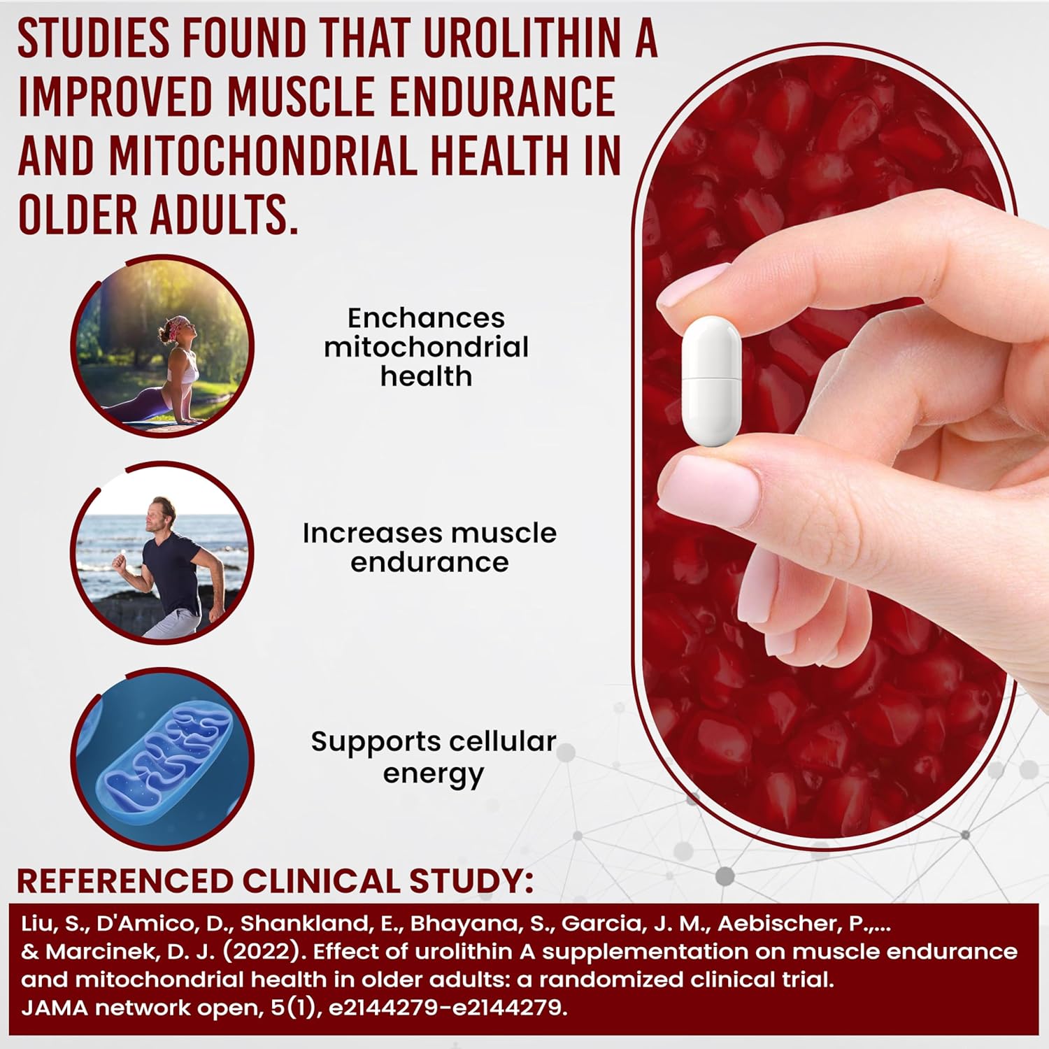 Pure Urolithin A Supplement for Anti-Aging & Energy Boost - Enhanced Mitochondrial Health Support - 60 Capsules for Men & Women