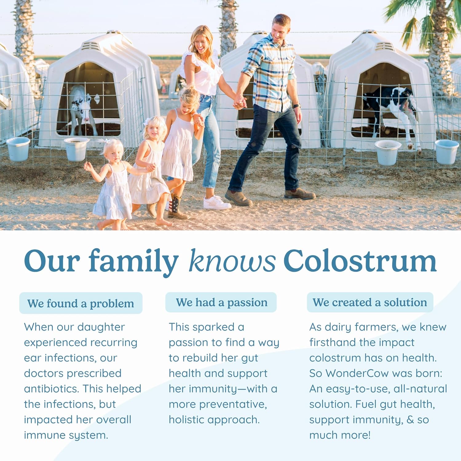 Pure Whole Bovine Colostrum Supplement Powder with Elderberry for Gut Health, Immune Support, Muscle Recovery, & Wellness - 30 Servings