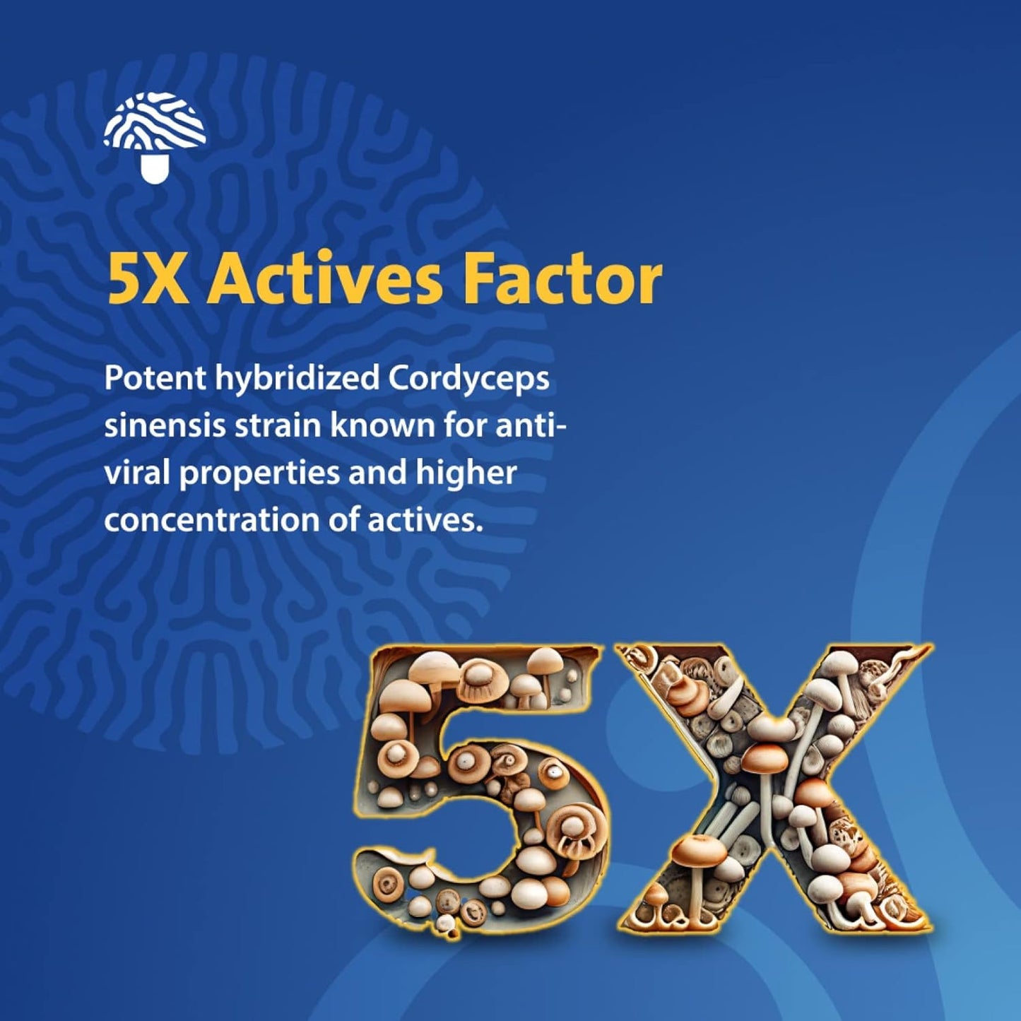 PURICA Cordyceps Capsules - 120 Count - Organic Mushroom Supplement for Energy and Endurance Boost