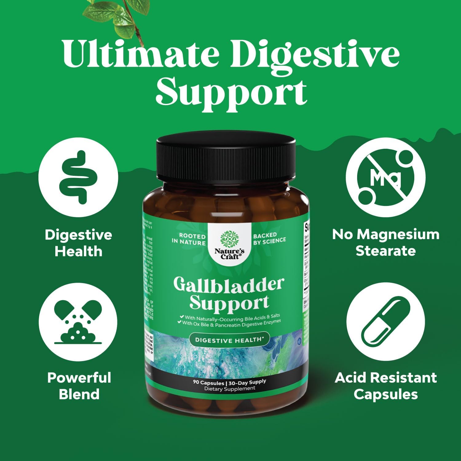 Purified Ox Bile Salts Supplement with Pancreatin Digestive Enzymes - Supports Gallbladder & Digestive Health - 90 Capsules