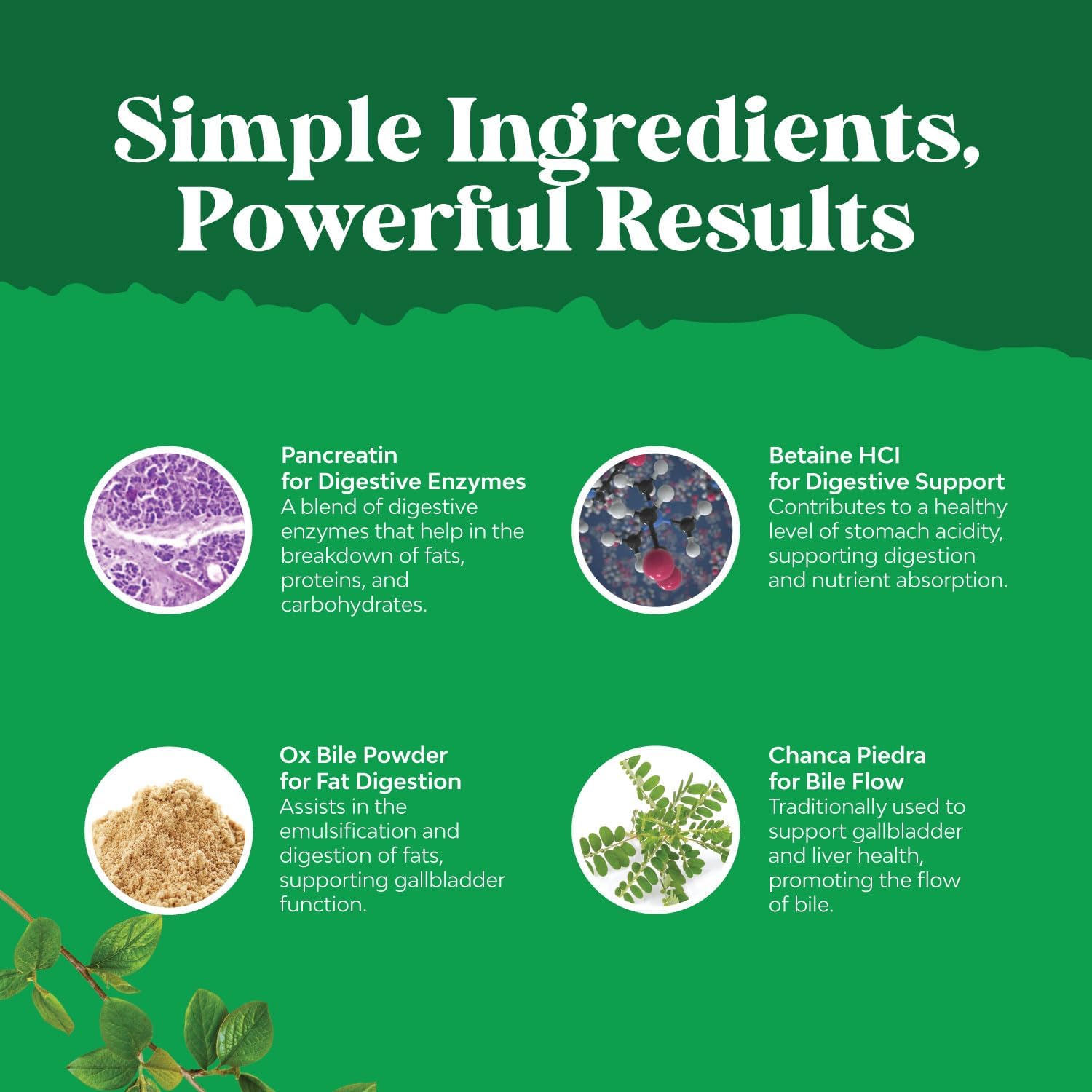 Purified Ox Bile Salts Supplement with Pancreatin Digestive Enzymes - Supports Gallbladder & Digestive Health - 90 Capsules