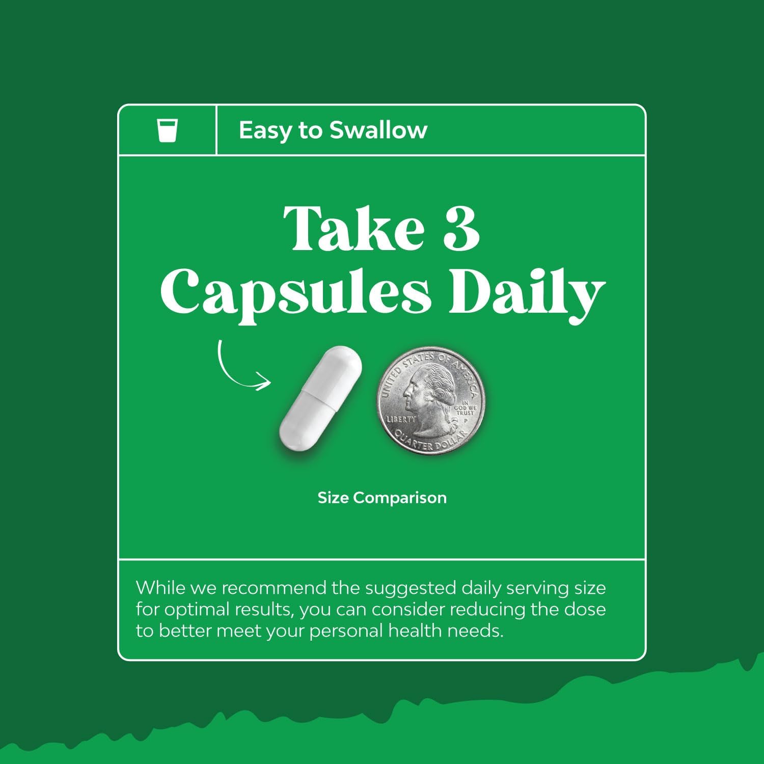 Purified Ox Bile Salts Supplement with Pancreatin Digestive Enzymes - Supports Gallbladder & Digestive Health - 90 Capsules