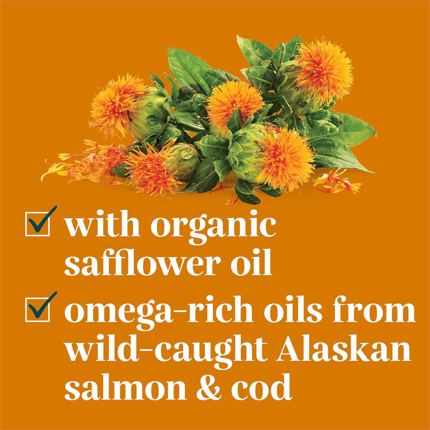 Purina EverRoot Dog Skin Care Supplements - 16 oz. Bottle with Safflower Oil for Healthy Skin and Coat