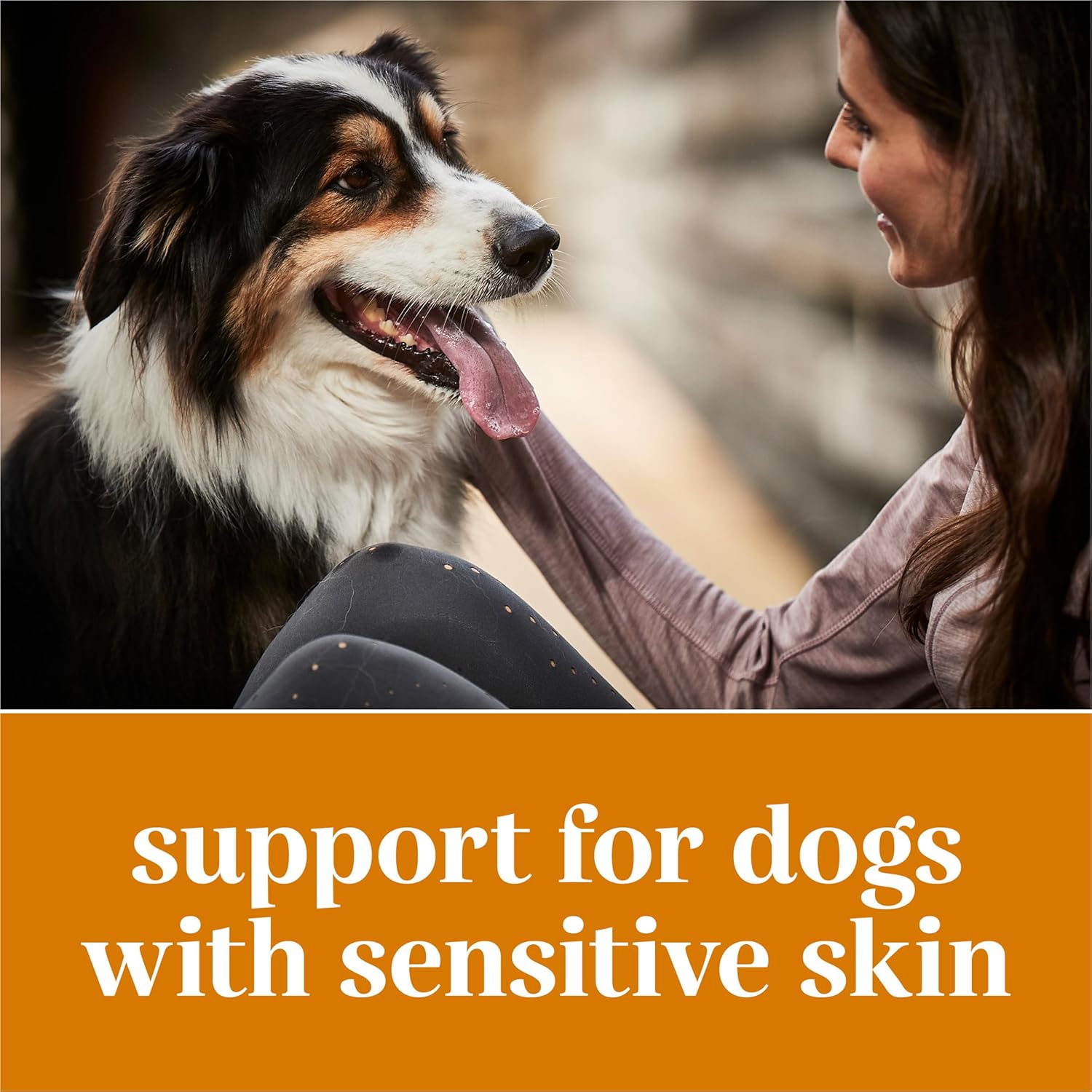 Purina EverRoot Dog Skin Care Supplements - 16 oz. Bottle with Safflower Oil for Healthy Skin and Coat