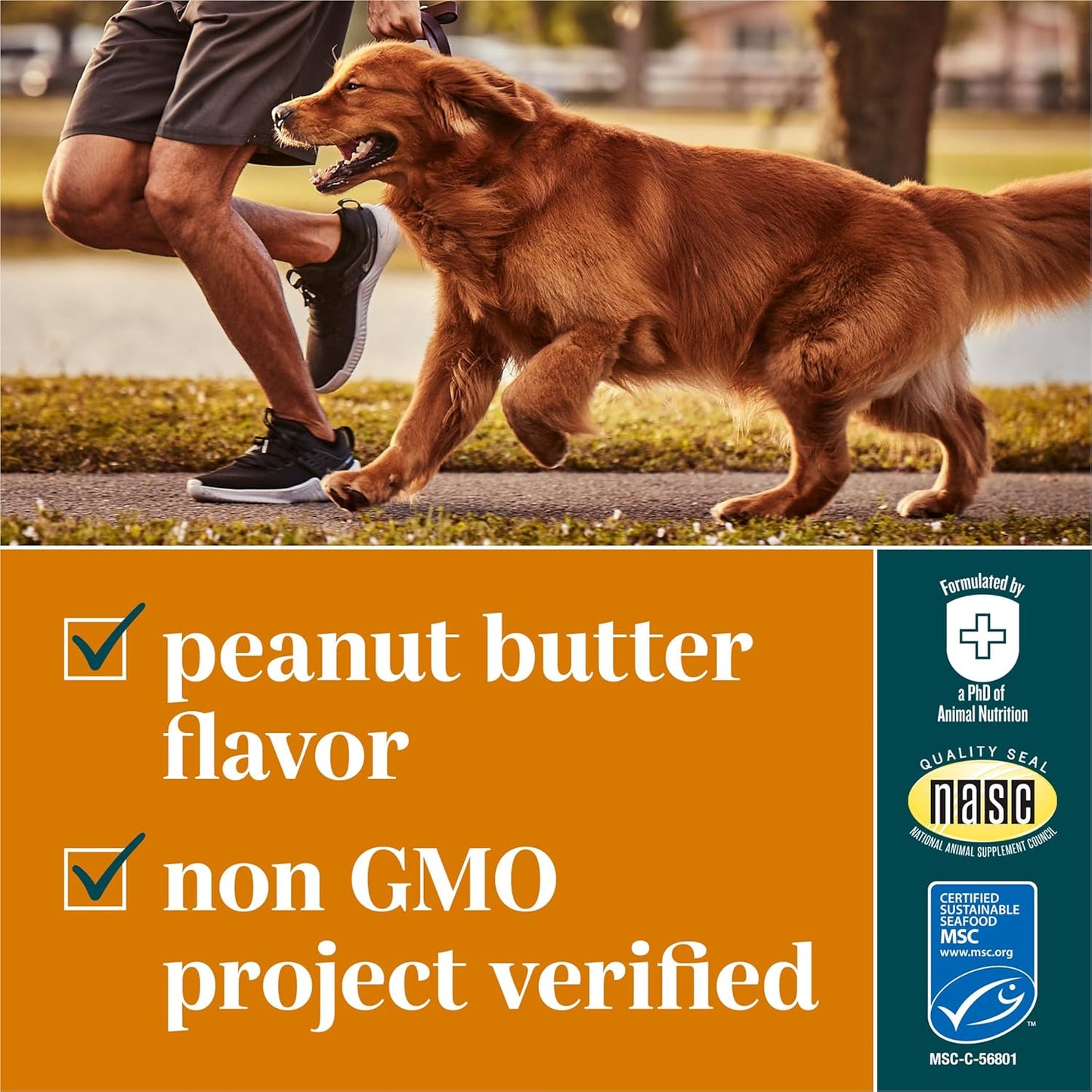 Purina EverRoot Dog Skin Care Supplements - 16 oz. Bottle with Safflower Oil for Healthy Skin and Coat