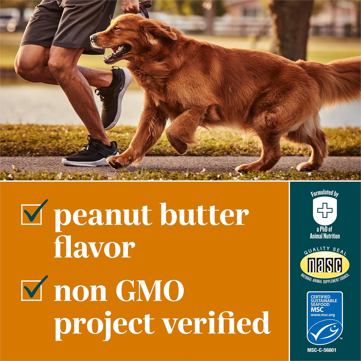 Purina EverRoot Dog Skin Care Supplements - 16 oz. Bottle with Safflower Oil for Healthy Skin and Coat