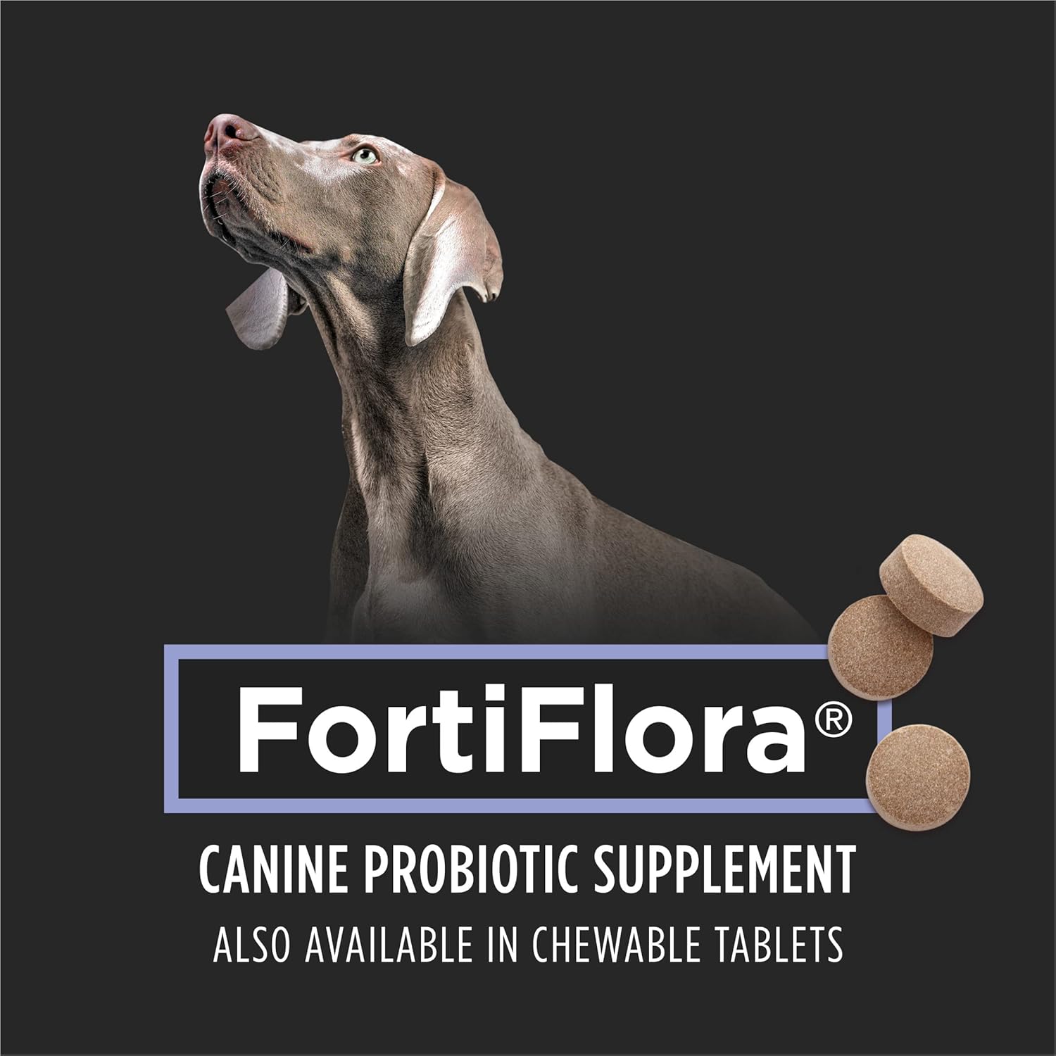 Purina Pro Plan Veterinary Diets FortiFlora Dog Probiotic Supplement - 30 Count Box, Canine Nutritional Supplement
