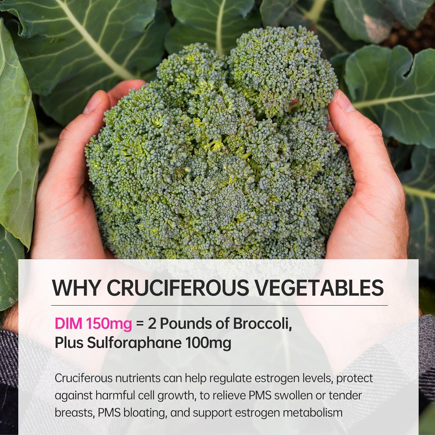 purmeo Women's Breast Health Supplement - Reduce Excess Estrogen for Hormonal Balance - Supports PMS Symptoms and Pylopass Probiotic for H Pylori Treatment