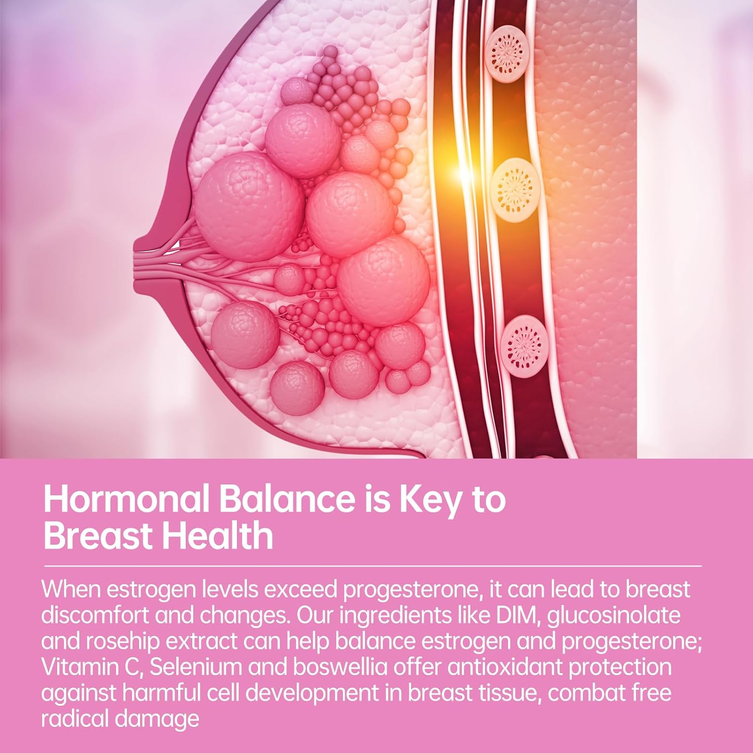 purmeo Women's Breast Health Supplement - Reduce Excess Estrogen for Hormonal Balance - Supports PMS Symptoms and Pylopass Probiotic for H Pylori Treatment