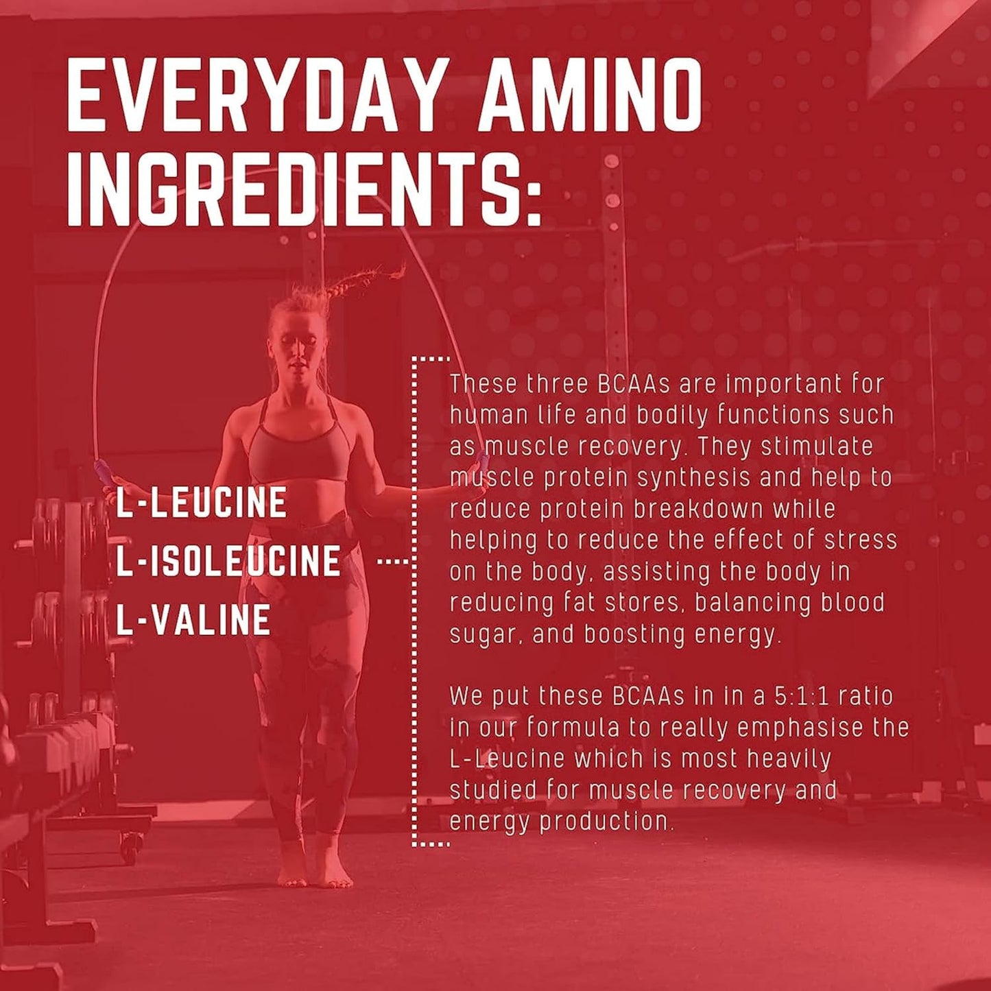 Purus Labs Everyday Amino BCAA Powder - Muscle Hydration & Recovery - Sugar & Gluten Free - 30 Servings - BlackBerry Cherry