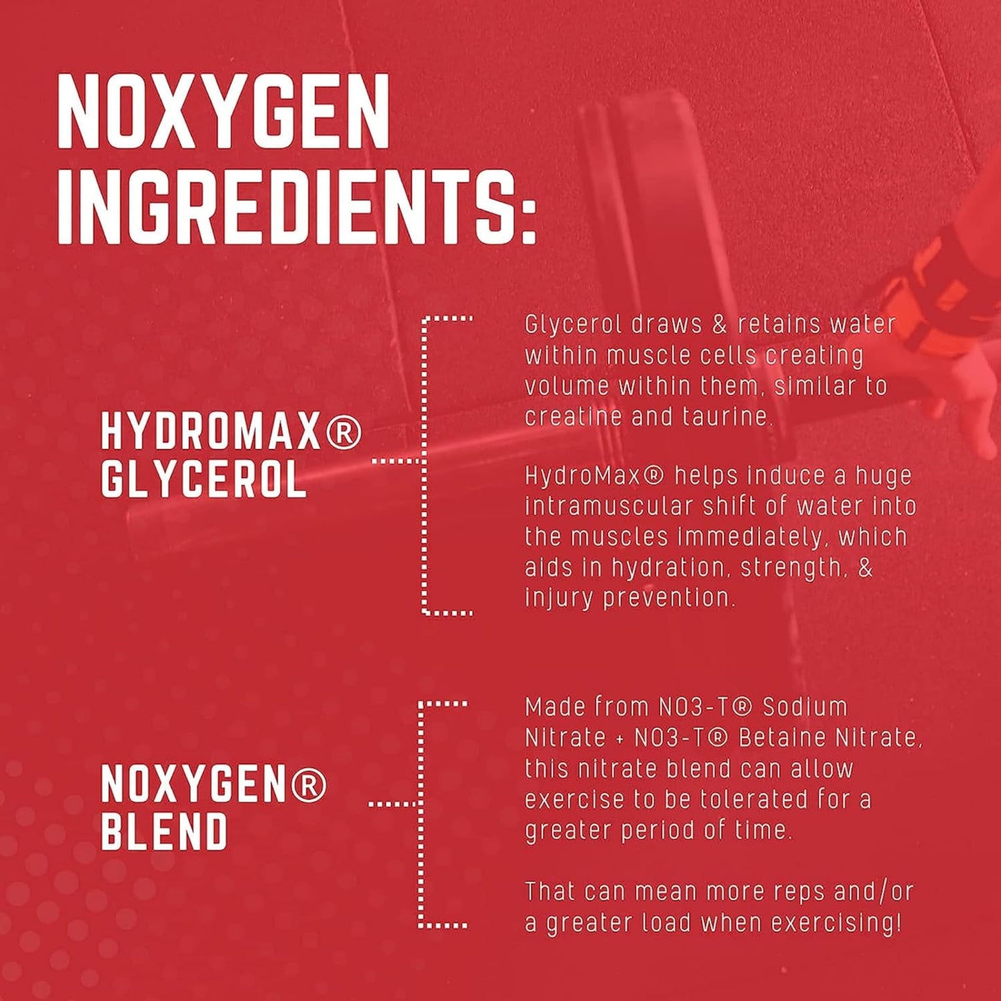 Purus Labs NOXYGEN Powder - 40 Servings, Unflavored - Nitric Oxide Booster Supplement