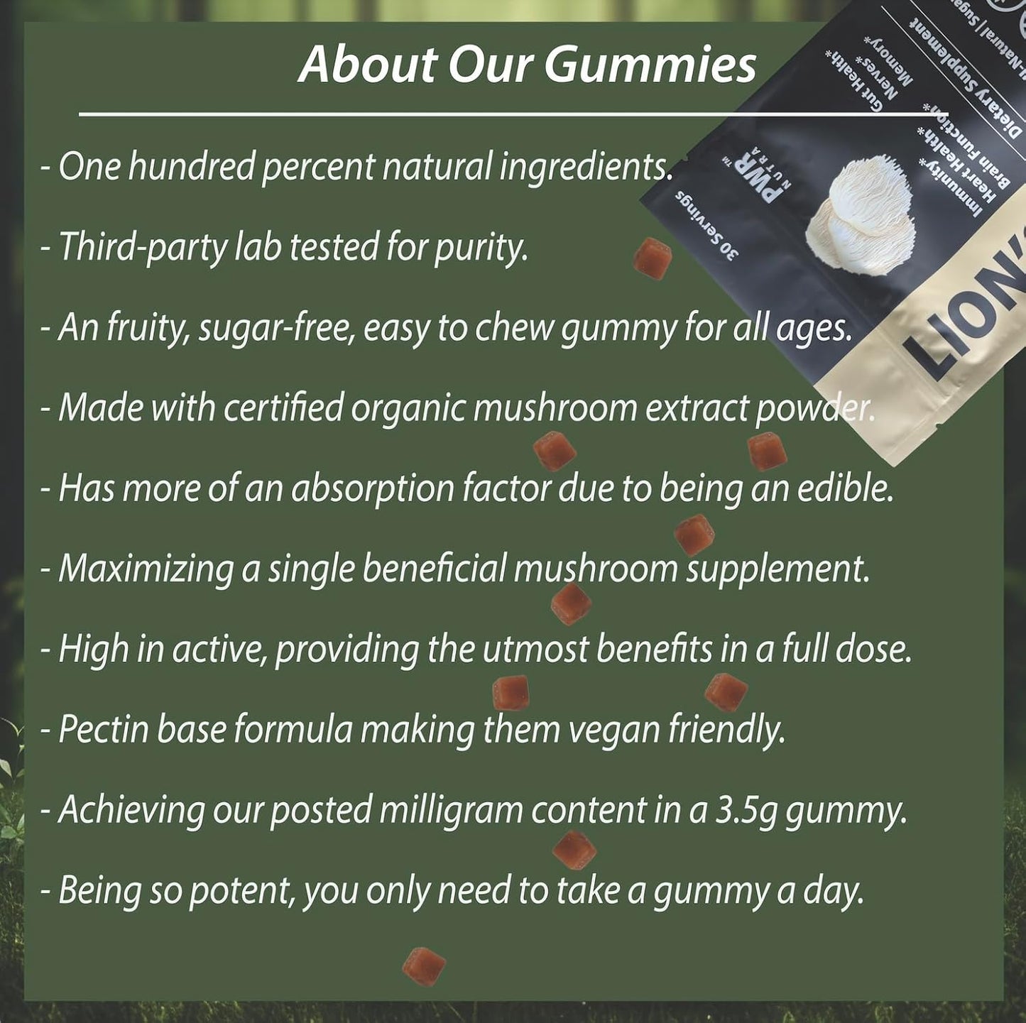 PWR Nutra Lion’s Mane Mushroom Gummies - Heart, Immunity, Brain Support - Vegan, Sugar-free, Gluten-free - 30 Servings